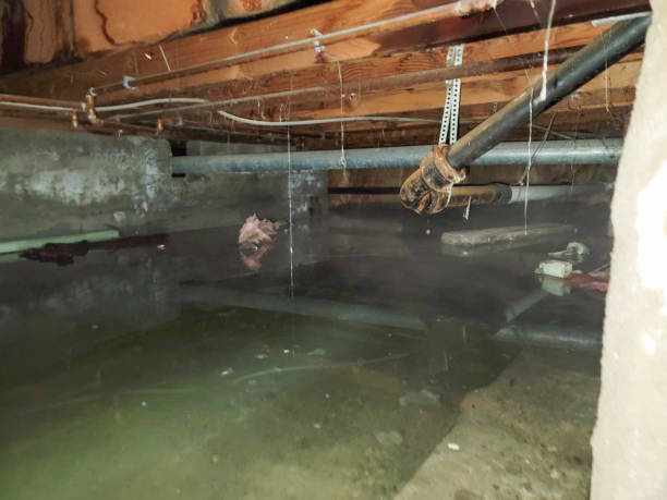 Best Sewage cleanup and water damage restoration  in Csar Chvez, TX