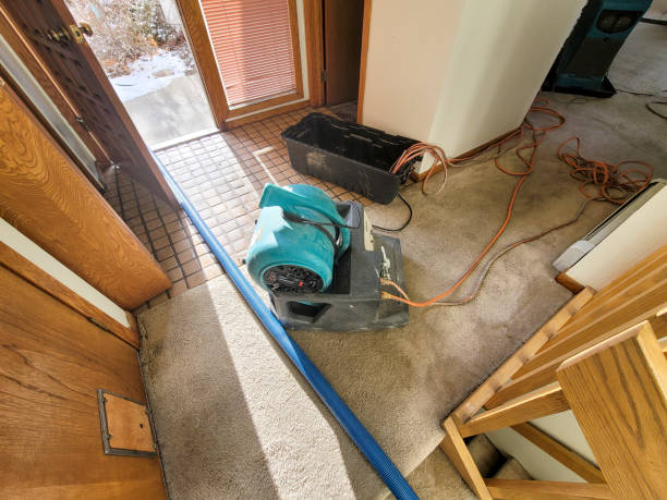 Best Ceiling water damage repair  in Csar Chvez, TX